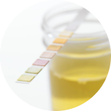 Presencia de cetonas en la orina